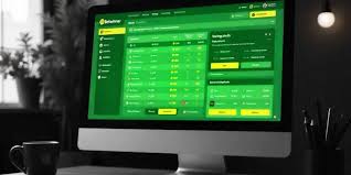 Discover BetWinner Sportsbook Your Ultimate Betting Destination