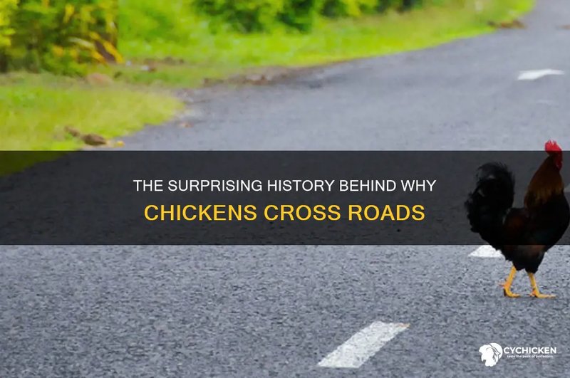 Chicken road online, chicken road oficial