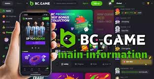 Exploring BC.Game NG Casino Your Gateway to Exciting Online Gaming