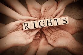 The Vital Role of a Human Rights Lawyer