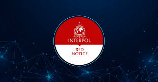 Understanding the Role of Interpol Defense Lawyers 1346415285 Understanding the Role of Interpol Defense Lawyers 1346415285