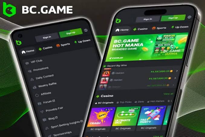 Unraveling the Online Casino Experience with BC Game Unraveling the Online Casino Experience with BC Game
